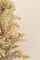 Perfect Holiday 2ft Pre-lit Tabletop Christmas Tree - Champagne